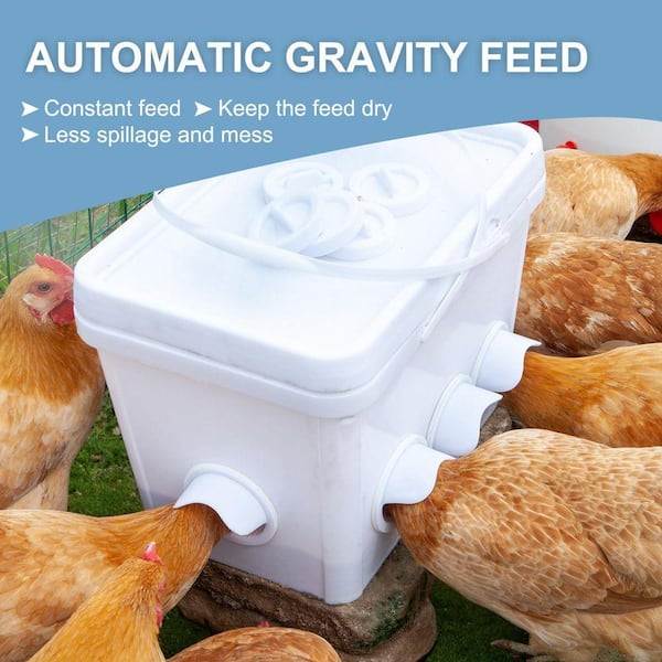 KIWDZFU Automatic No Waste Chicken Feeder and Waterer Set with 8