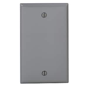 1-Gang No Device Blank Wallplate, Standard Size, Thermoplastic Nylon, Box Mount, Gray