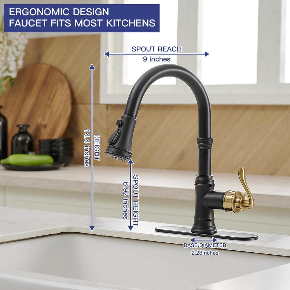 Matte Black and Gold Single-Handle Pull-Down Kitchen Faucet