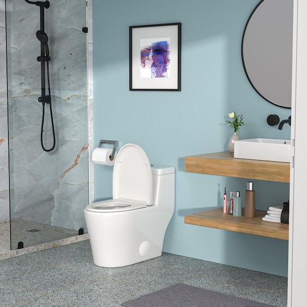 1-Piece, 1.1/1-Piece, 1.6 GPF Dual Flush Elongated Toilet in White, Seat Included