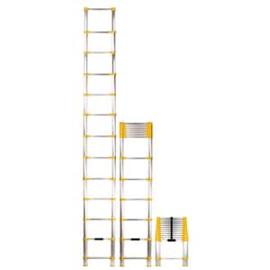 12.5 ft. Aluminum Telescoping Extension Ladder (16.5 Reach Height), 250 lbs. Load Capacity Type 1 Duty Rating