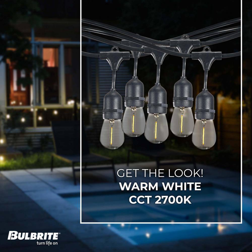 48-ft Black LED String Lights with Clear Shatter Resistant Bulbs