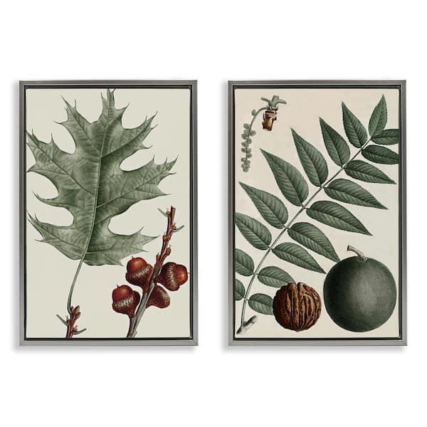 Stupell Industries Tree Leaves and Nuts by Graffi*tee Studios 2-Pieces Gray Floater Frame Nature Graphic Art Print 31 in. x 21 in.