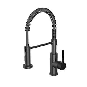 Cartway Single-Handle Spring Non Pull-Down Sprayer Kitchen Faucet in Matte Black