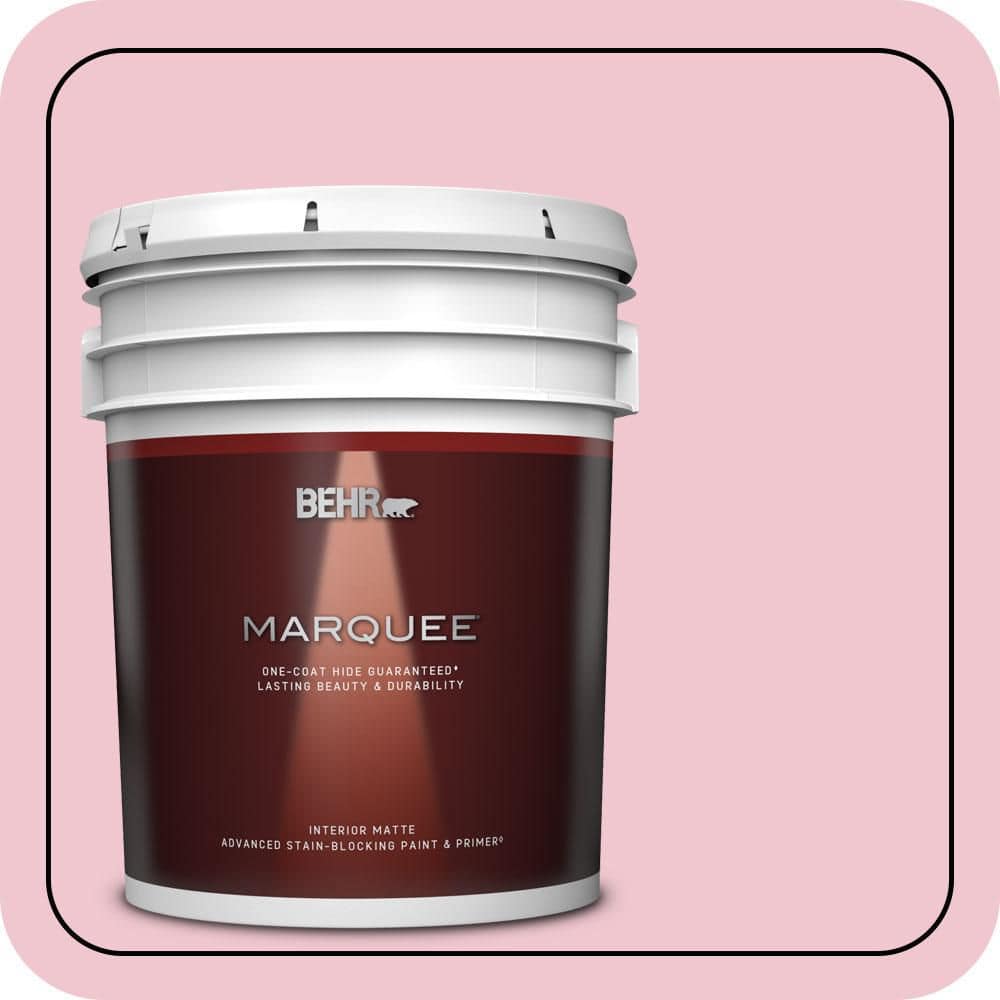 5 gal. #P140-2 Sweetheart Matte Interior Paint & Primer price history on PriceWatchPro