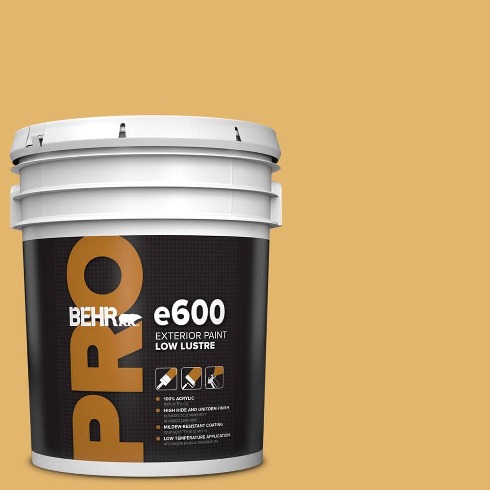 5 gal. #M290-5 English Custard Low Luster Exterior Paint price history on PriceWatchPro