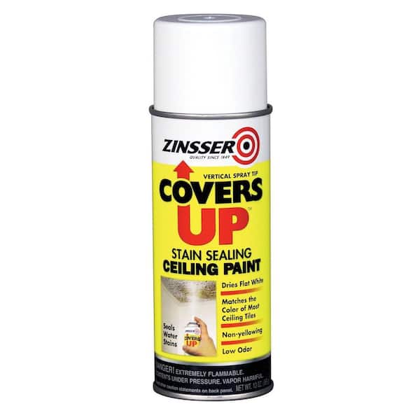 13 Oz White Ceiling Spray Paint, Ceiling Stain Remover Spray