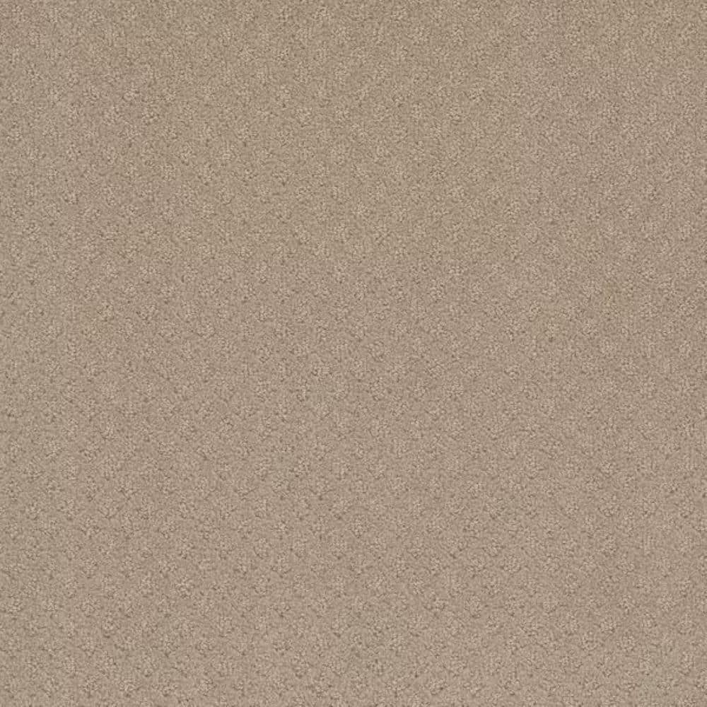8 in. x 8 in. Pattern Carpet Sample-Bell Loop-Color Chime price history on PriceWatchPro
