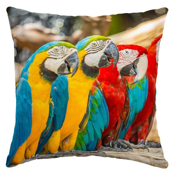 parrot pillow