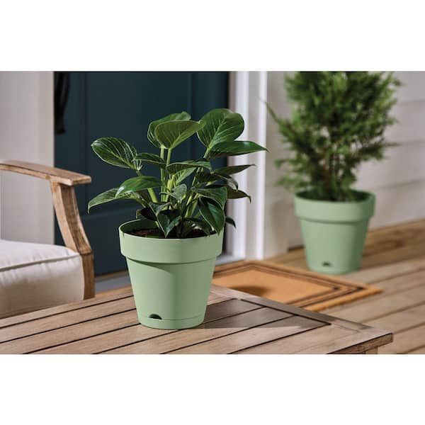 Vivienne Medium Green Plastic Round Self-Watering Planter with Attached Saucer (8 in. L x 8 in. W x 7.3 in. H)