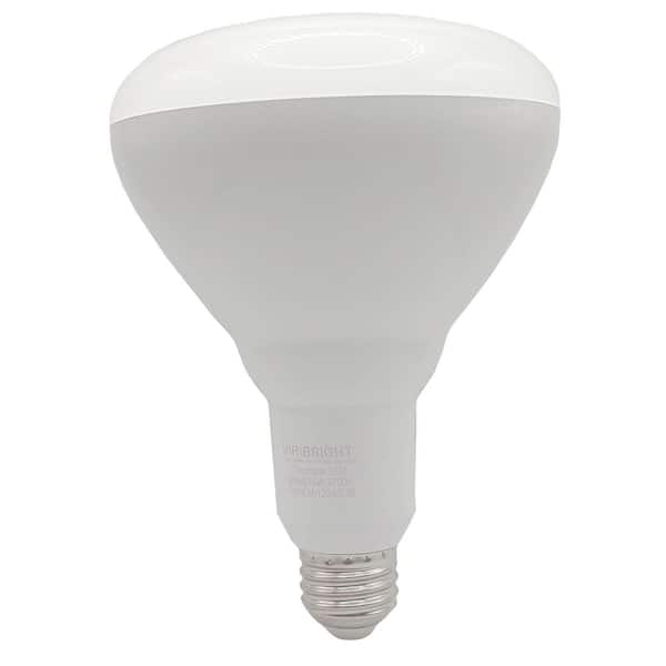 100-Watt Equivalent PAR38 Outdoor Dimmable E26 Medium Base Flood LED Light Bulb, Daylight 6500K (4-Pack)