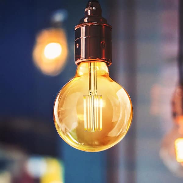 60-Watt Equivalent G30 Dimmable Cage Filament Amber Glass E26 Vintage Edison LED Light Bulb, Warm White (4-Pack)