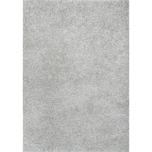 Haisley Gray 5 ft. x 8 ft. Solid Shag Area Rug