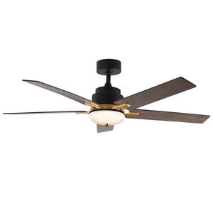 Breezary Felix 65 in. Indoor Black Large Ceiling Fan with Light 