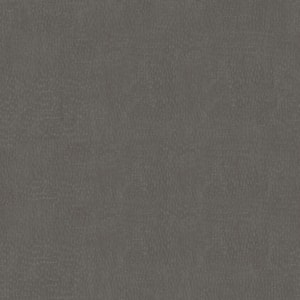 3 ft. x 12 ft. Laminate Sheet in Windswept Pewter with Matte Finish
