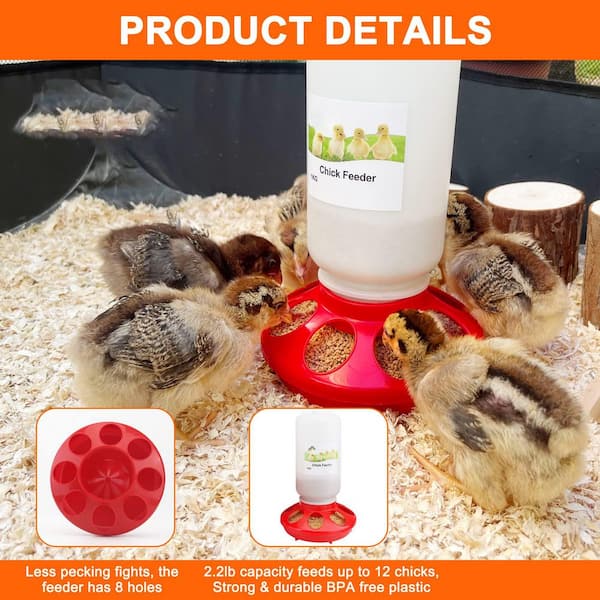 Lily Brown Chicken Feeder Bucket - Poultry Hen Chick Drinker Waterer, Hanging Feeder Holder, 3kg Capacity