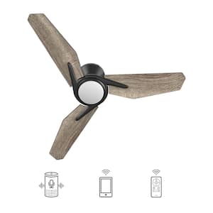 Tilbury 44 in. Integrated LED Indoor/Outdoor Black Smart Ceiling Fan with Light and Remote, Works with Alexa/Google Home