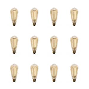 100-Watt Equivalent ST19 Dimmable Straight Filament Amber Glass E26 Vintage Edison LED Light Bulb, Warm White (12-Pack)