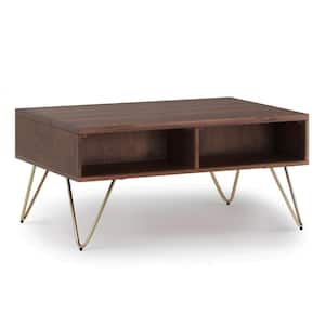 Hunter 36 in. Umber Brown/Gold Rectangle Wood Coffee Table with Lift Top
