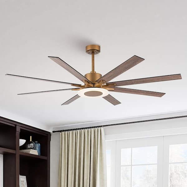 Parrot Uncle 65 in. Indoor Integrated LED Reversible 8-Blade Antique Gold Ceiling Fan with Light and Remote Control
