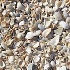 0.5 cu. ft. Sea Shells Bagged Landscape Rock 54175 - The Home Depot