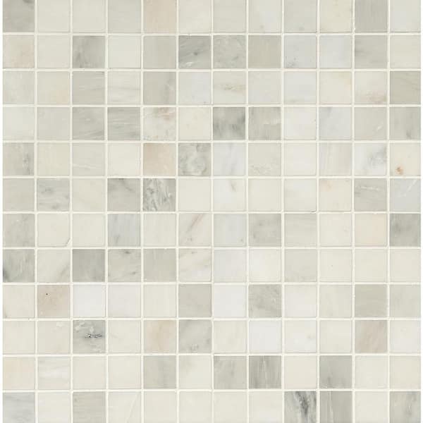 MSI Greecian White 12 in. x 12 in. Polished Marble Look Floor and Wall Tile (10 sq. ft./Case)
