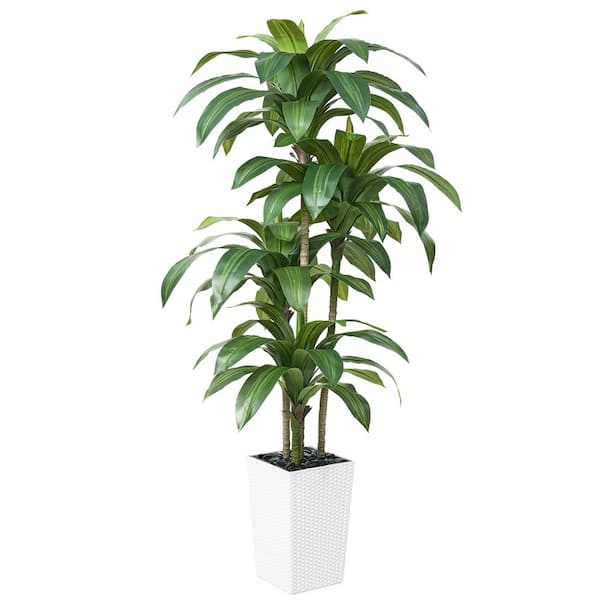 6 ft. Artificial Dracaena Tree with White Planter, Faux Plant Fake Tree for Home and Office Decor Indoor/Outdoor