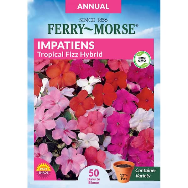 Impatiens Tropical Fizz Hybrid Pelleted Flower Seeds