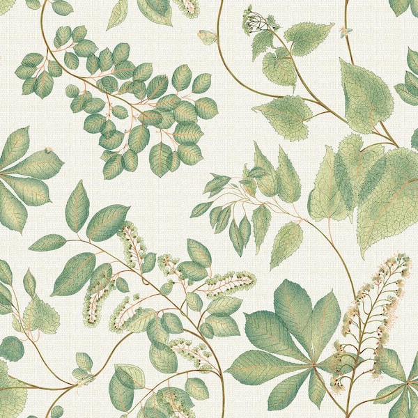 SURFACE STYLE Arboretum Willow Botanical Vinyl Peel and Stick Wallpaper (Covers 30.75 sq. ft.)