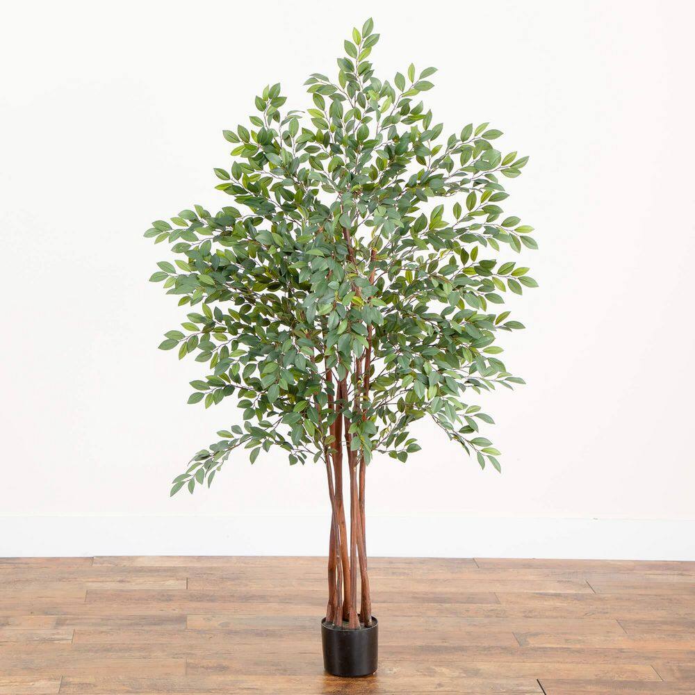 48" Green Silk and Plastic Potted Ruscus Tree