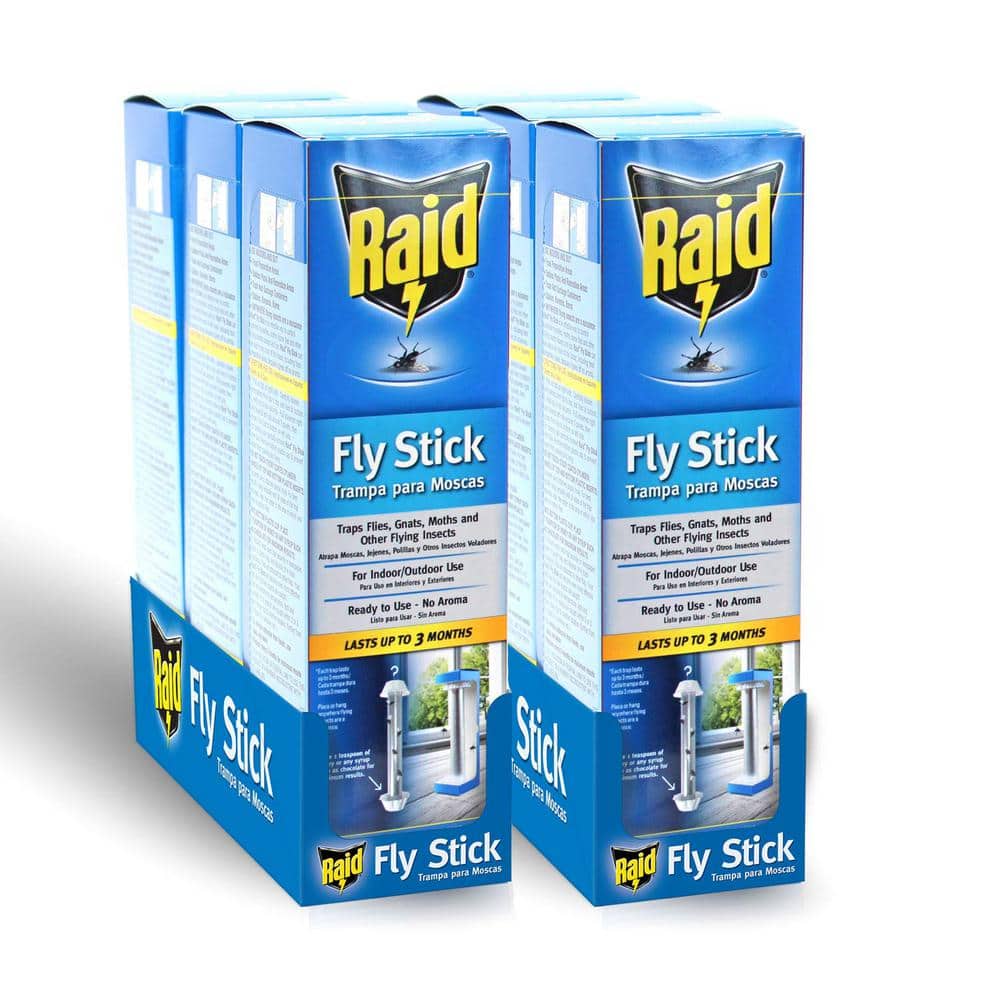 Raid Window Fly Trap (4- Pack) FTRP-RAID - The Home Depot