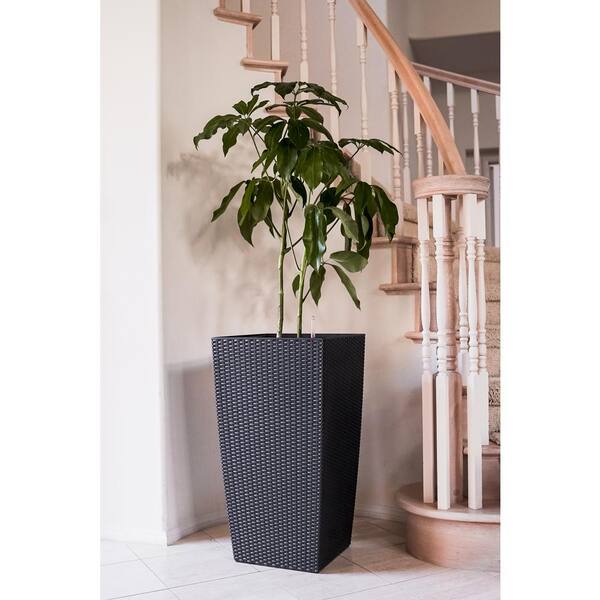 https://images.thdstatic.com/productImages/fece68c4-2da5-40f2-99af-f88f6a808460/svn/black-plant-pots-hdpl16bk-31_600.jpg