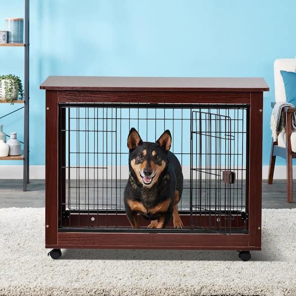 what size is a large dog cage