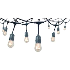 12-Light Indoor/Outdoor 24 ft. String Light with S14 Single Filament LED Bulbs
