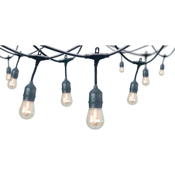 12-Light 24 ft. Plug-in Indoor/Outdoor Edison String Light with S14 Single Filament LED Bulbs