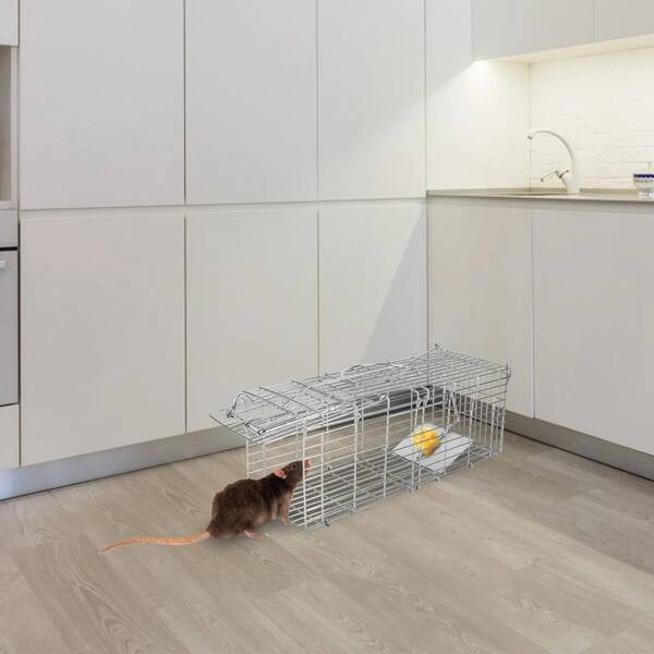 Unbranded - Foldable Indoor/Outdoor Rat Cage Trap Humane Live Rodent Galvanized Iron Control Bait Catch with Detachable L-Shaped Rod