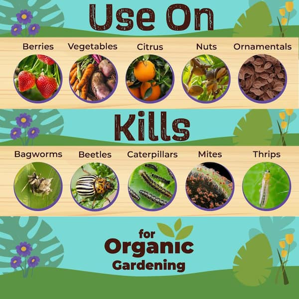 Captain Jack's Deadbug Brew, 32 oz Concentrate Outdoor Insecticide and Mite Killer for Organic Gardening