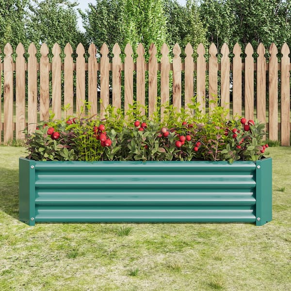 Image of Raised bed with green metal fence