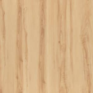 Paso Fino Oak 30 MIL x 8.9 in. W x 60 in. L Click Lock Waterproof Luxury Vinyl Plank Flooring (22.15 sq. ft./case)