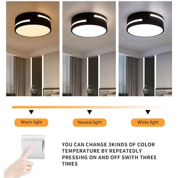 Shannon 1-Light Wall Sconce in Matte Black