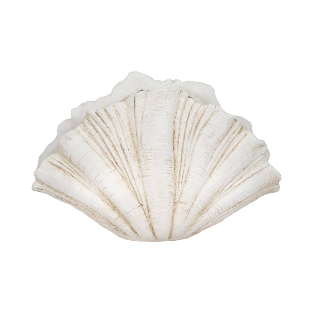 White 22 in. x 14 in. Resin Scallop Shell Figurine price history on PriceWatchPro
