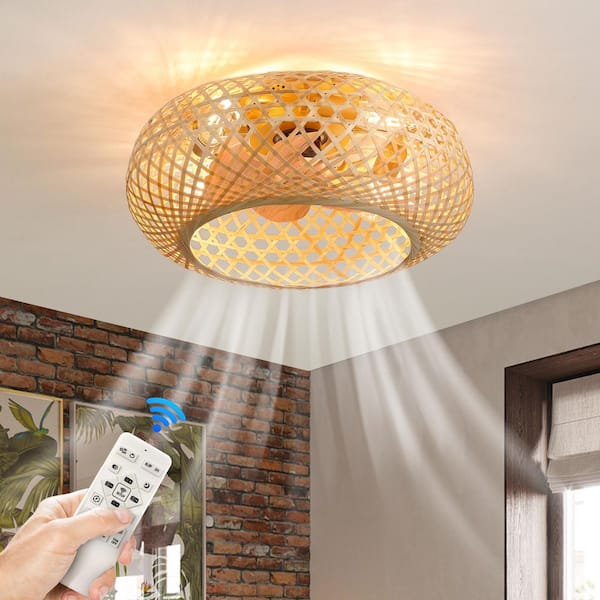 20 in. Gold Indoor Caged Ceiling Fan with Light Low Profile Flush Mount Ceiling Fan with Remote Control, Bulbs Included