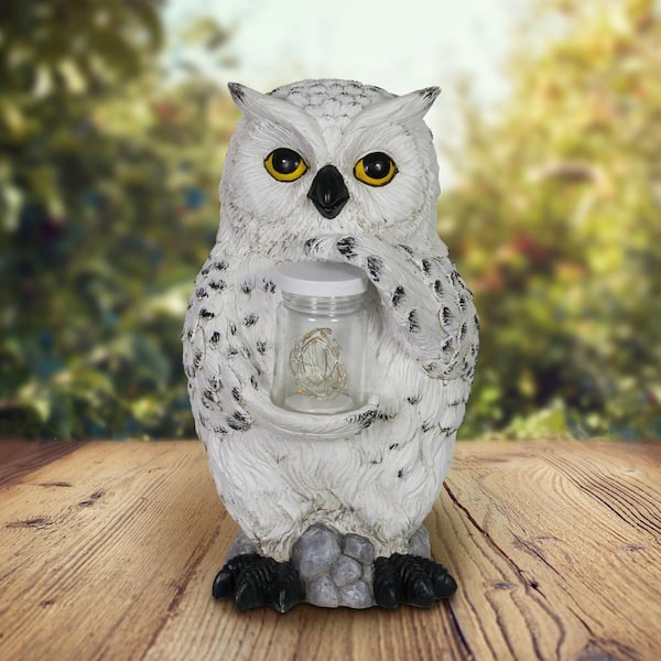 Owl Stepping Stone Kit
