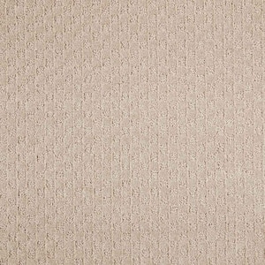 Shiloh Point  - Coconut Milk - Beige 40 oz. Triexta Pattern Installed Carpet