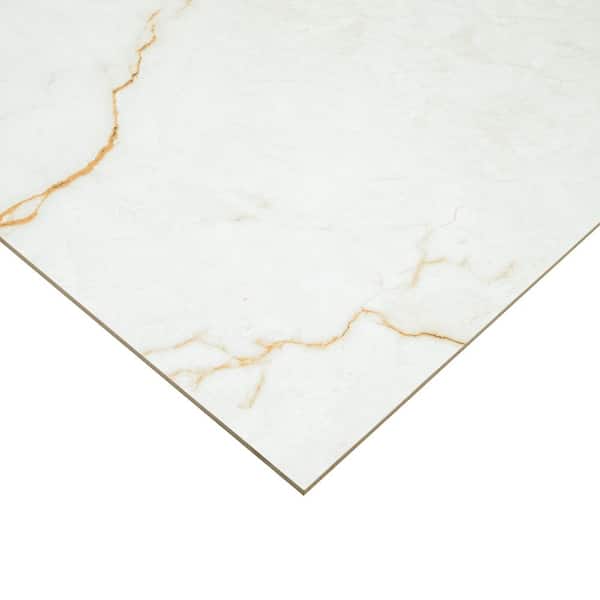 MSI Amari Gold 24 in. x 48 in. Polished Porcelain Marble