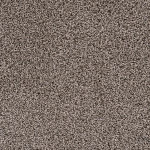8 in. x 8 in. Texture Carpet Sample - Affectionate II -Color Favorable