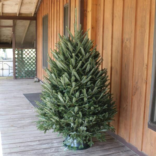 小物 supreme small zip porch real tree 12 ft. Pre-Lit Tiffany Fir Slim Tree with Clear Lights