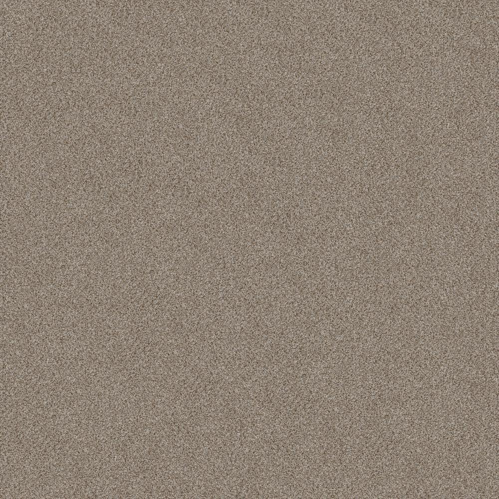 8 in x 8 in.  Texture Carpet Sample - Columbus II - Color Chantrelle price history on PriceWatchPro