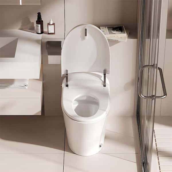 Hanikes 1-Piece 1/1.27 GPF High Efficiency Dual Flush
