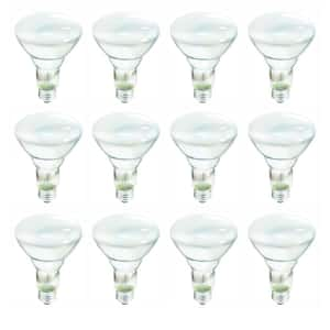 65-Watt Incandescent BR30 Flood Light Bulb Soft White (2700K) (12-Pack)